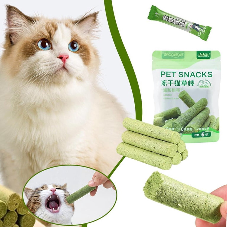 استیک فریزدرای علف گربه و کتنیپ مخصوص گربه
